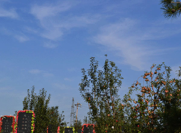 秋高气爽-五福陵