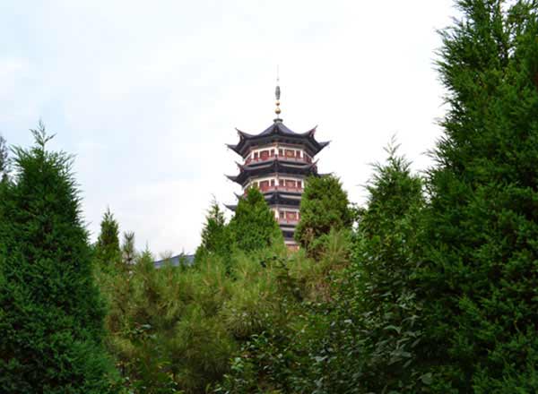 桃花丛中望宝塔