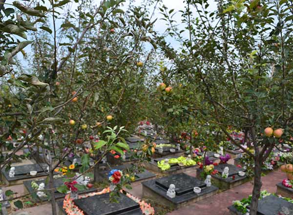 芳草园墓区景观